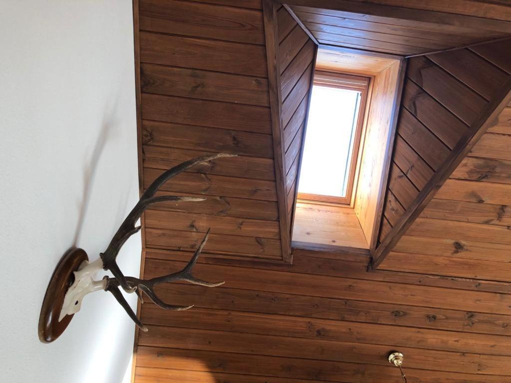 Ferienwohnung Atico Jaca A 200 M De La Ciudadela Exterior foto